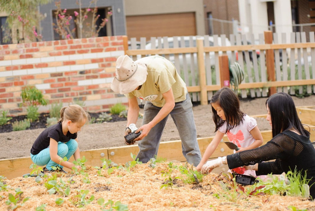 Family gardening vegetable patch