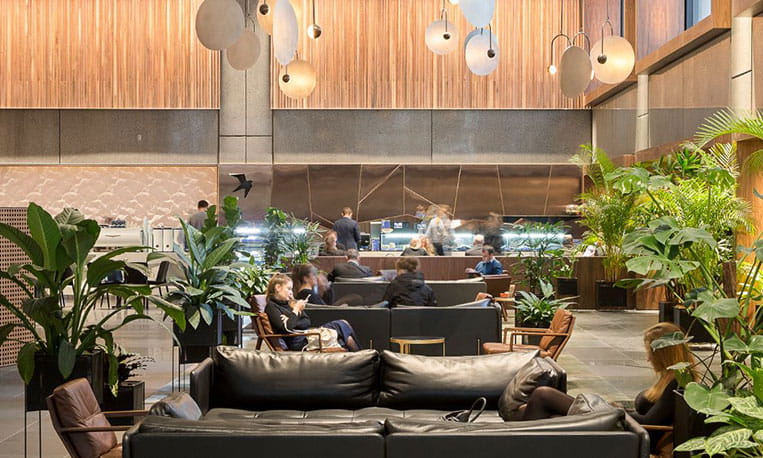 Workplace with plants