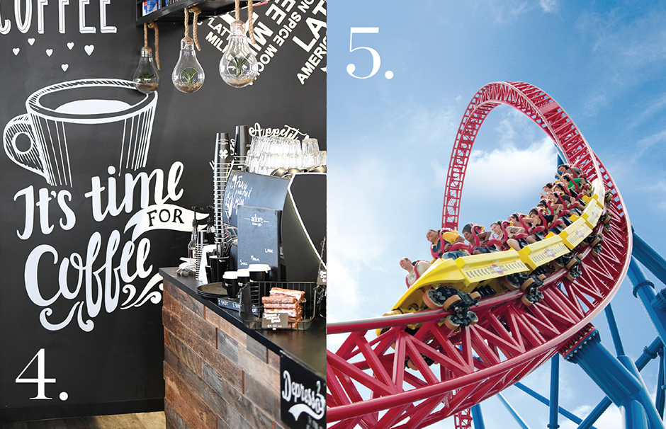 Rollercoaster and cafe